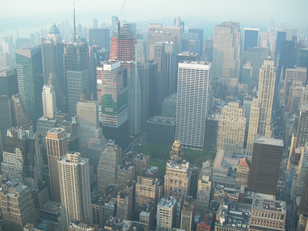 Midtown From Empire State Building Top by Blaise B