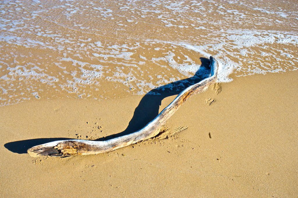 Geelong & the Ocean Road by Zenn Maar