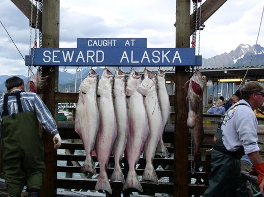 Seward Alaska by jnight32