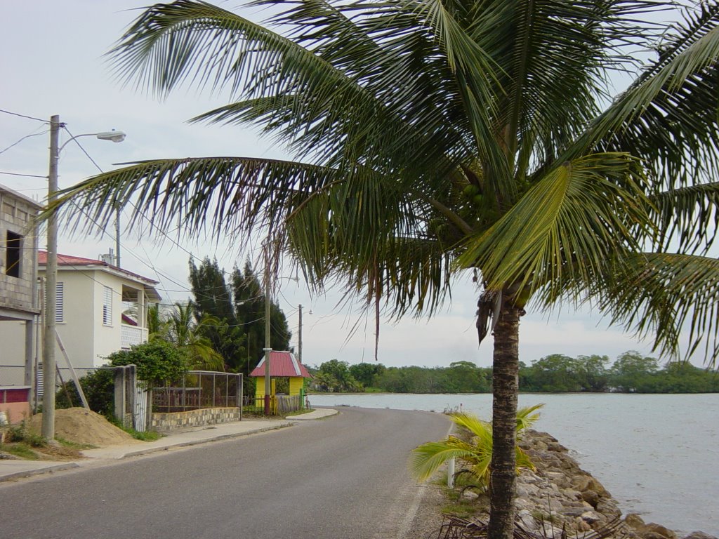 Punta Gorda Front Street - looking north by hbrbz