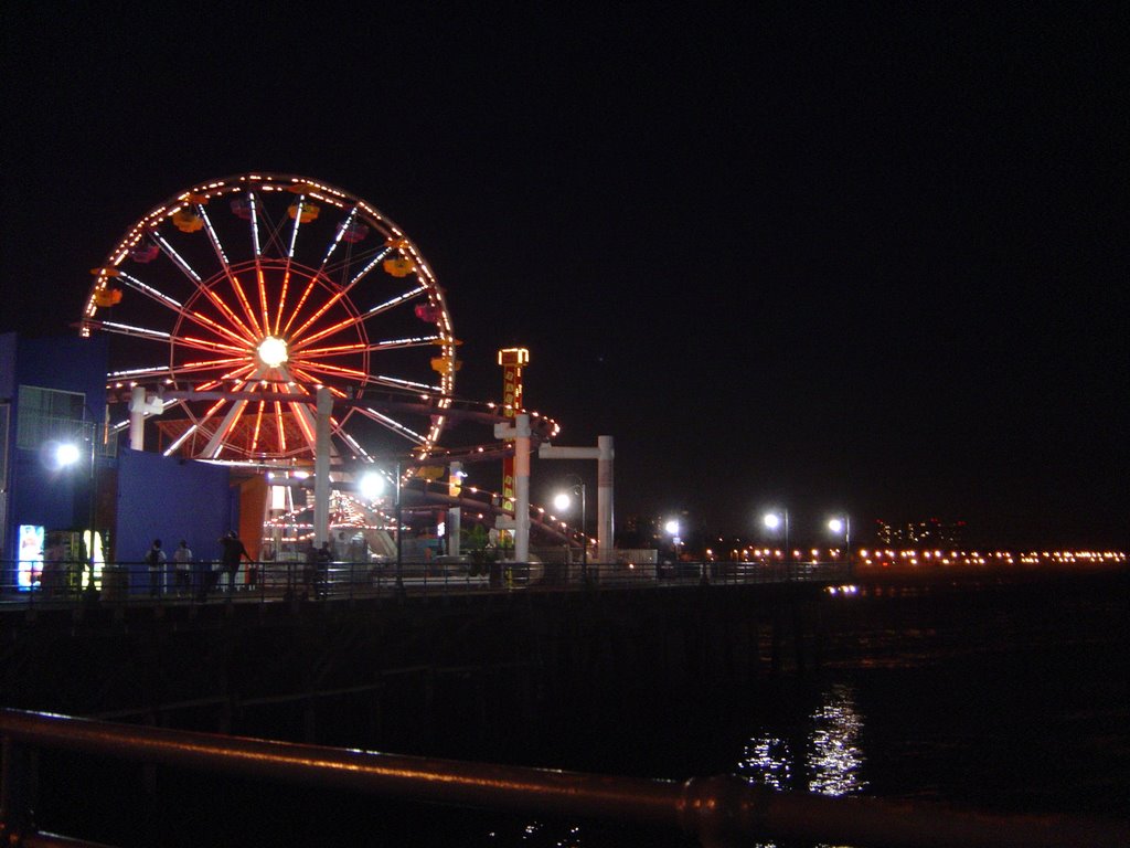 Santa Monica Pier at Night by Dolphard