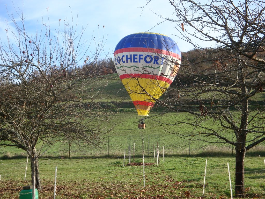 Ce matin, devant ma porte by lionel43