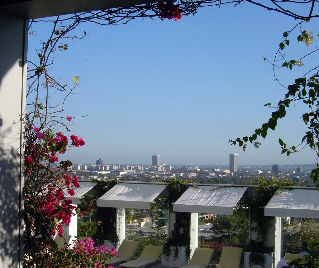 Los Angeles from Skybar by Dolphard