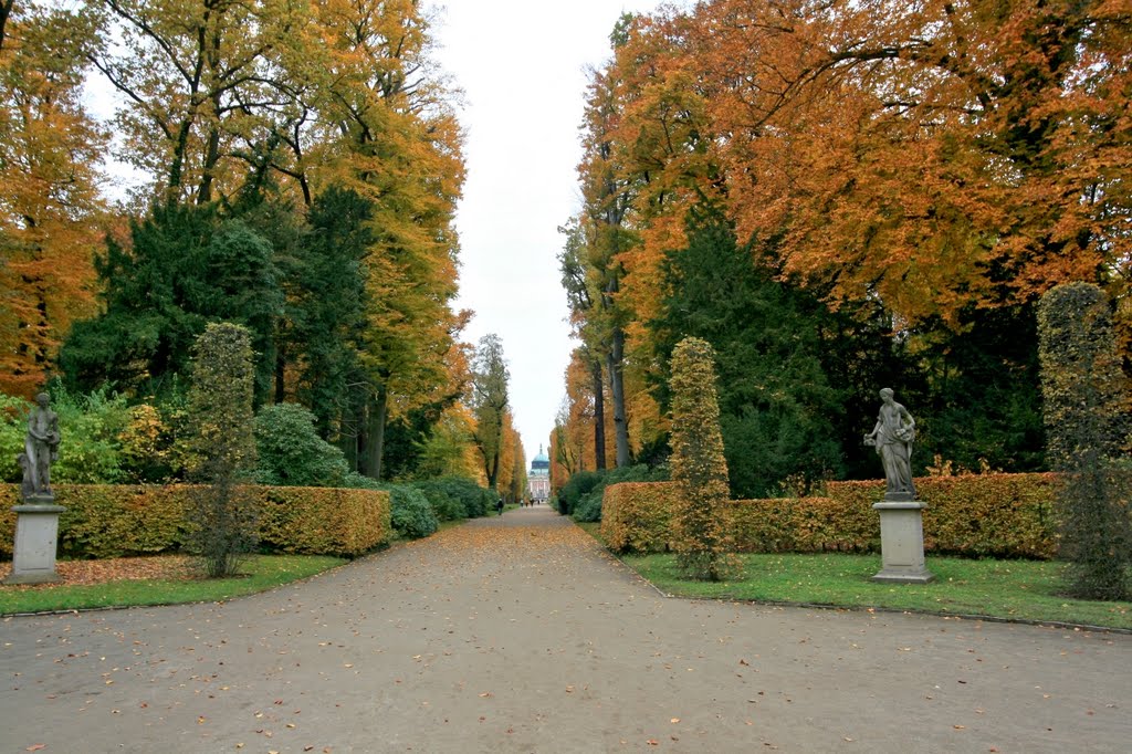 Sanssouci Park by Egidijus