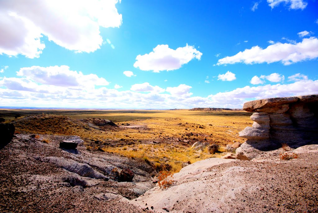 HIGH DESERT, ARIZONA by tlposcharsky