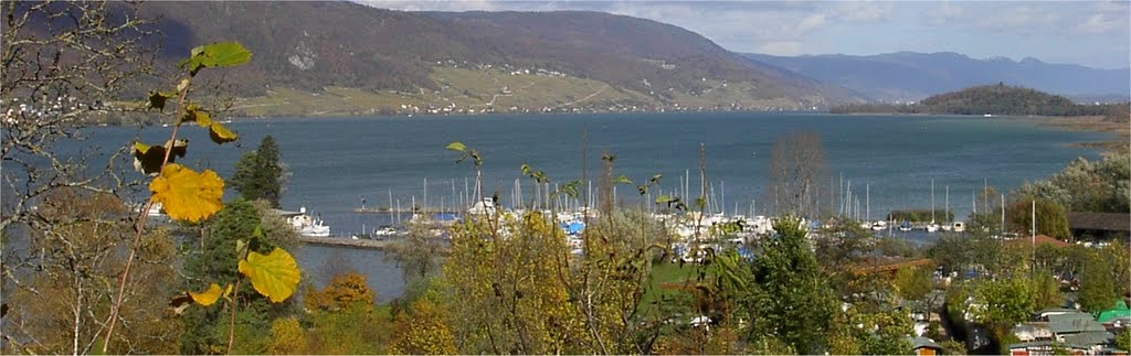 Panorama vom Bielersee by d2Blue