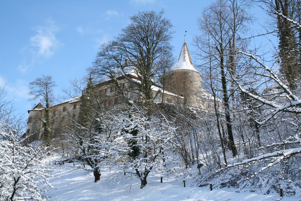 Schloss Erlach im Winter by d2Blue