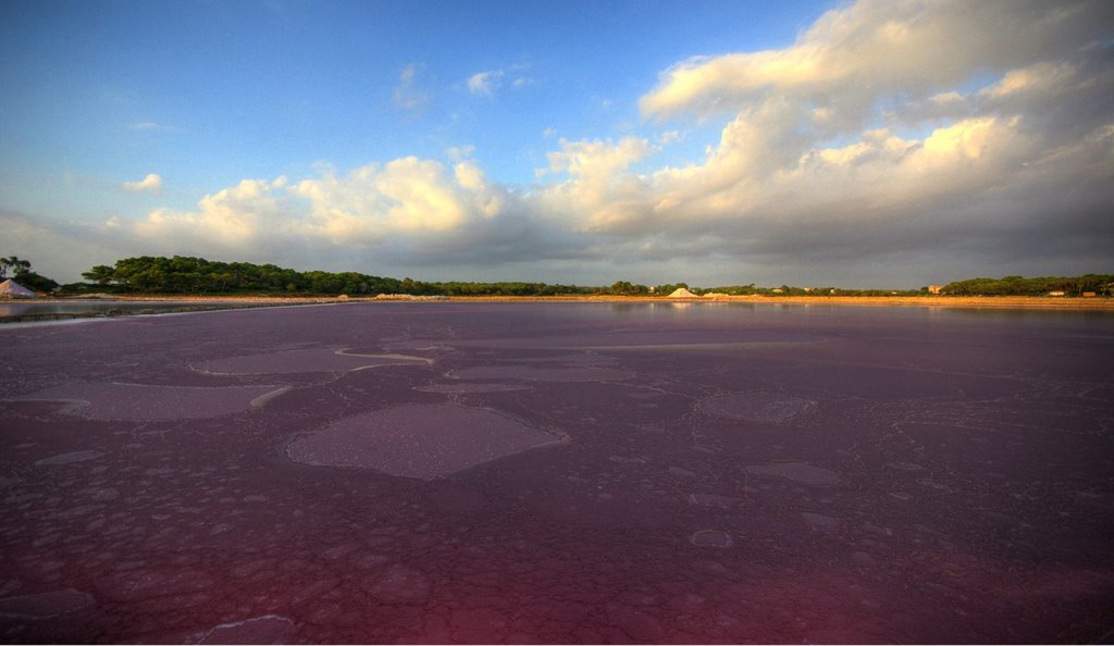 Salines , Colonia de Sant Jordi - Buy a print in - http://cafate.blogspot.com/ by © Cafate