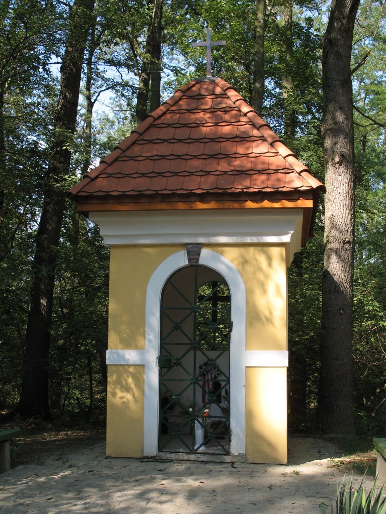 Chapel on Doboz-Szanazug by Tokai Attila