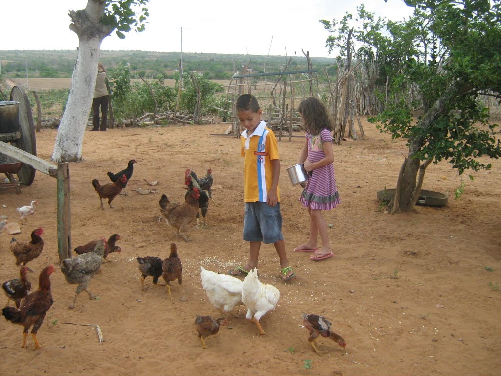 As crianças conhecendo o frango, fora da geladeira. by Silvio Anestor Ferre…