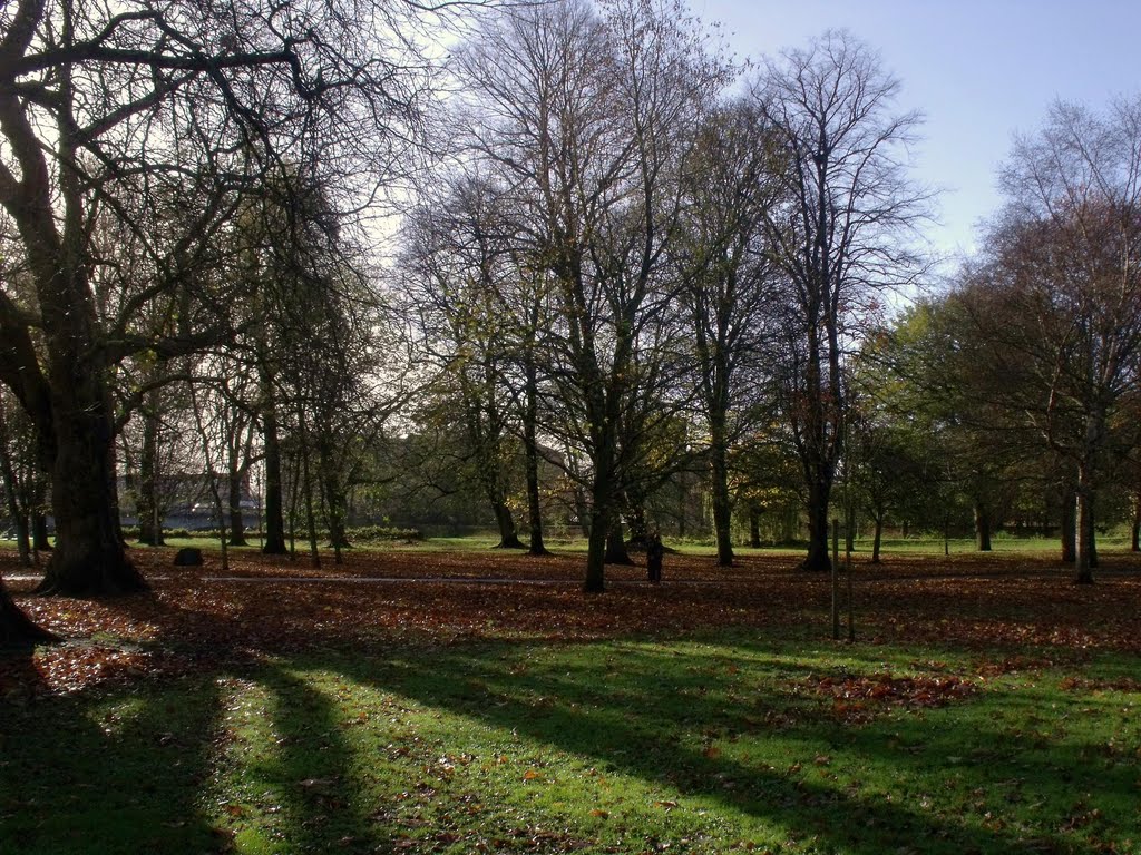 Bute Park in November (2) by Kaiser MacCleg