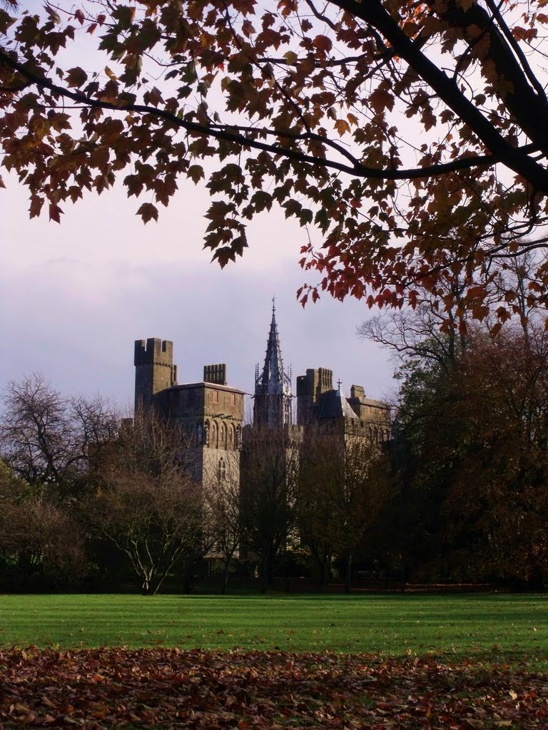 Cardiff Castle from Bute Park by Kaiser MacCleg