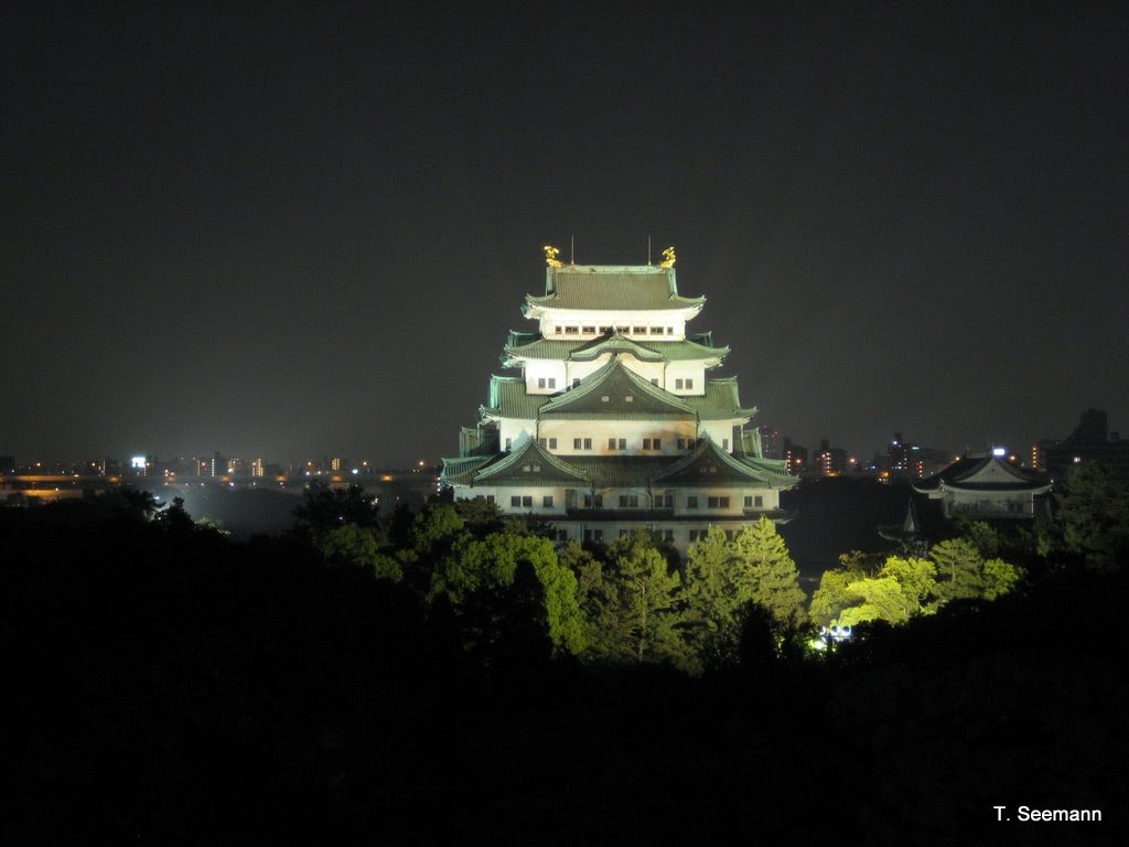 Nagoya Castle by T. Seemann