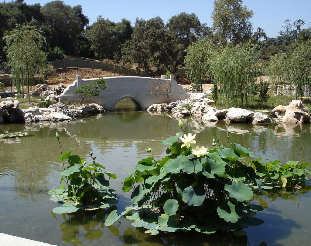 Chinese Garden at Huntington Library (San Marino, California, USA) by laurac5