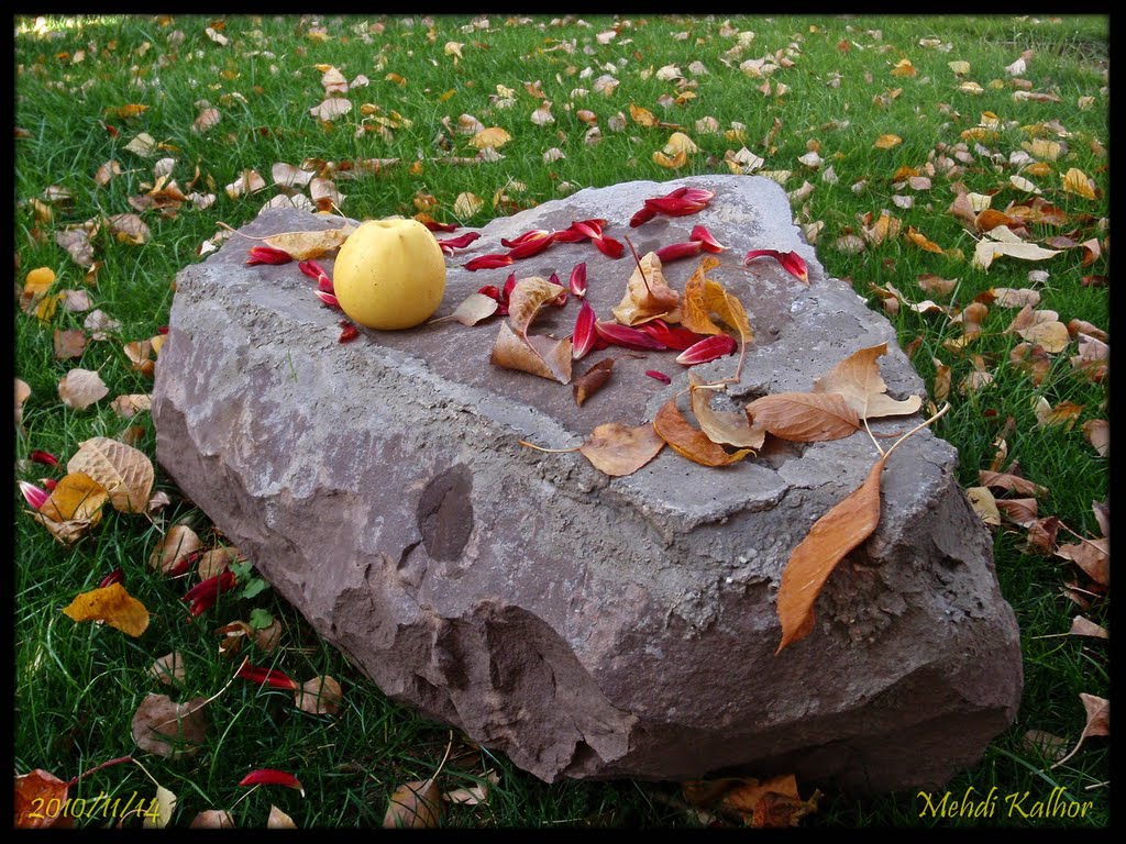 An apple for all Panoramio friends...(An apple a day, keeps the doctor away) :-o, :-), :)) یک سیب زرد دماوندی از دشت مشاء تقدیم به همه عزیزان by Mahdi Kalhor