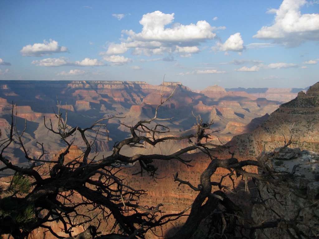 Grand Canyon of Colorado by Anna Reixach