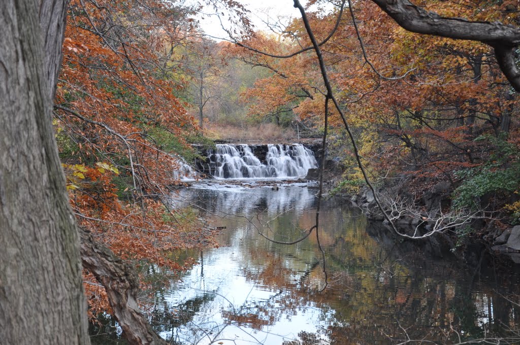 Bronx River Waterfall In the Bronx Zoo - H&M by Harry and Marilyn