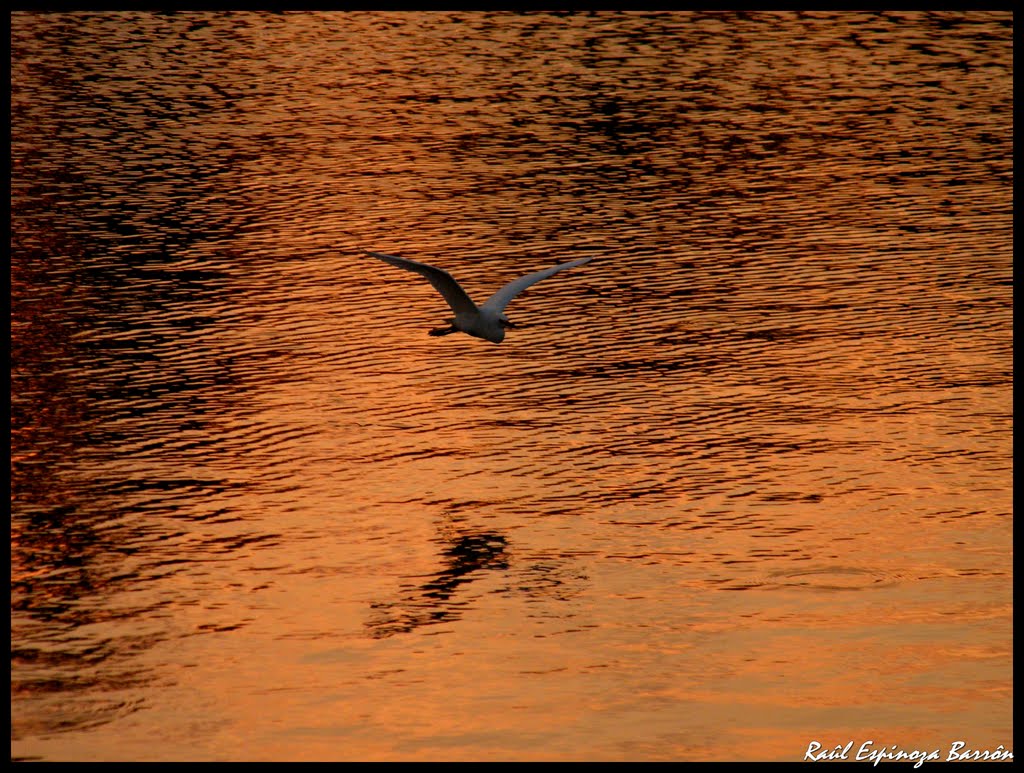 SOBREVUELO. by Raúl Espinoza Barrón