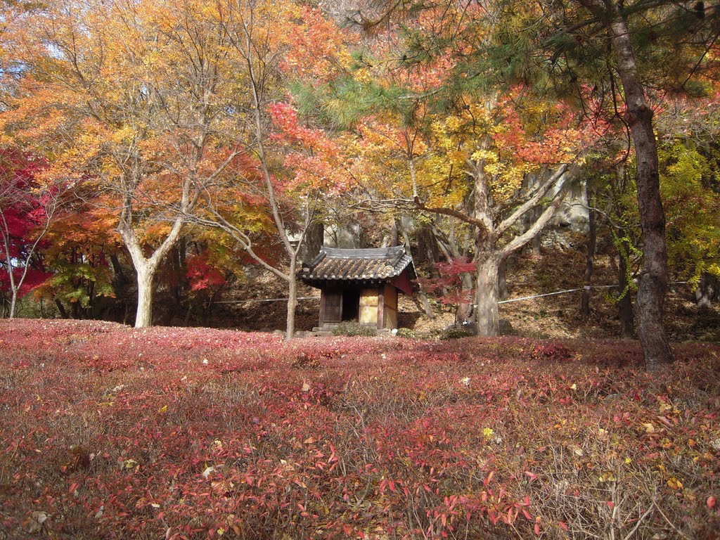 Shrine to the villige deity, Kim-Je-Si (金堤市), Korea. by MC Han