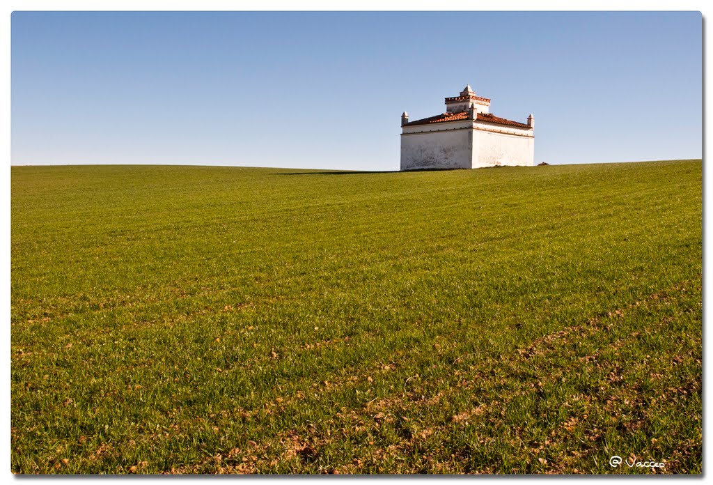 Palomar, Villaveza del Agua (Zamora) by p.mesonero