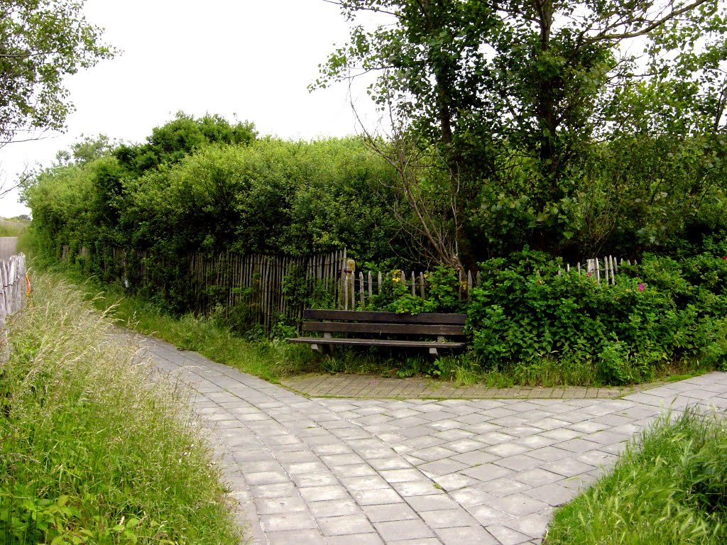 Wandelweg in de duinen by Cois Eerdekens