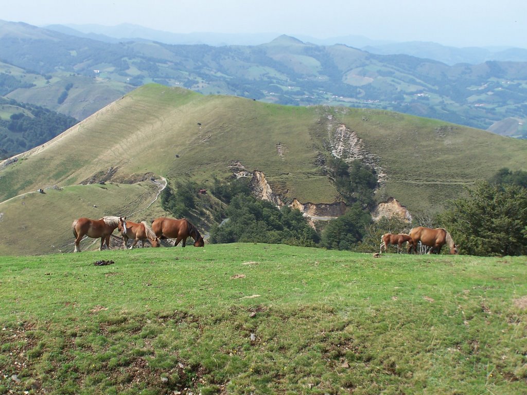 Chevaux en liberté sur le mont Lindus by Joker40