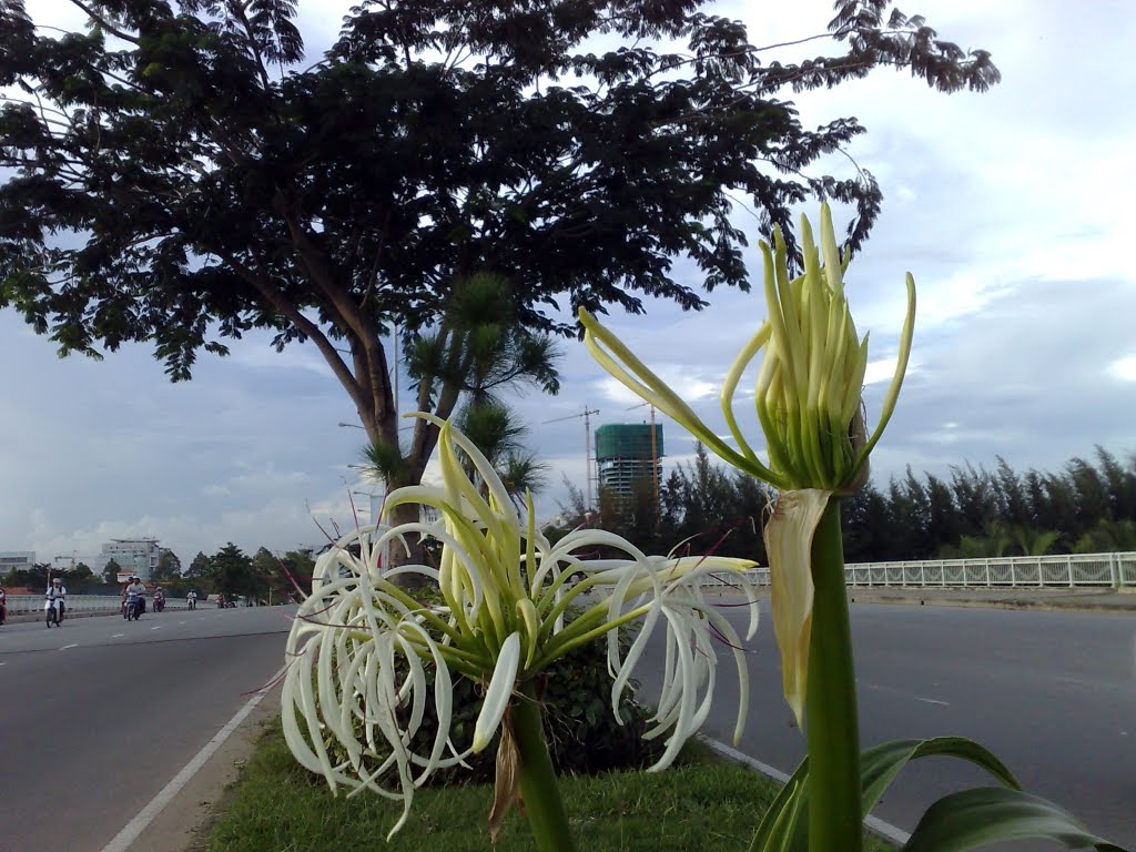 Nguyen Luong Bang Boulevard by Vũ Hà Duy