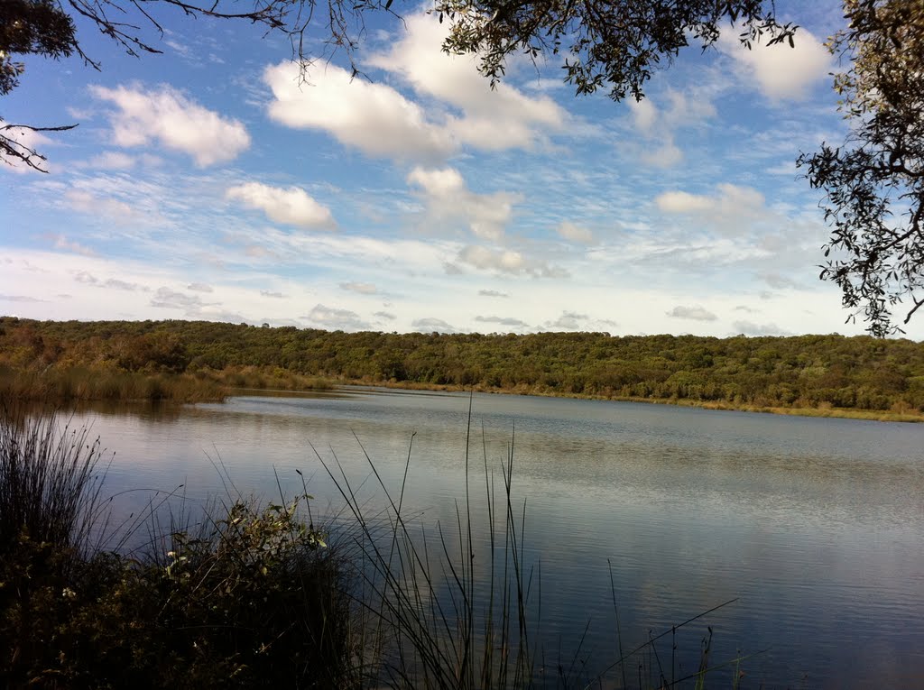 Ocean Lake, Fraser Island by pajames2