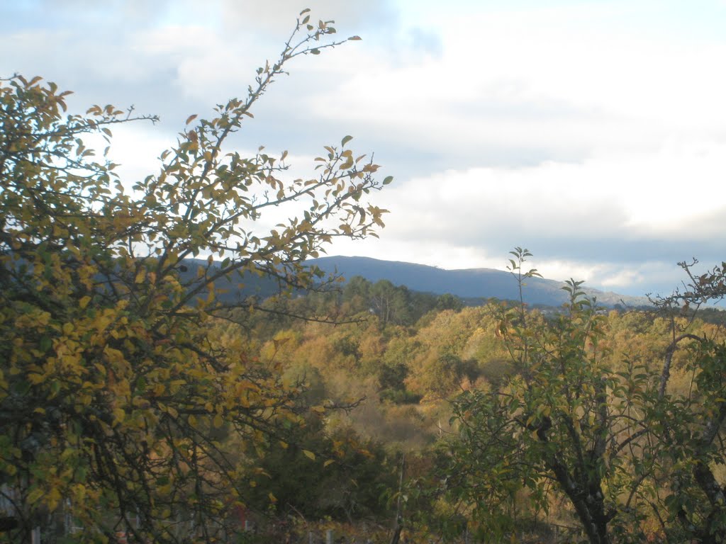 Otoño by delfineiras