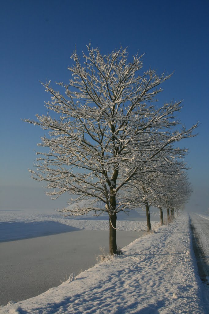 Winter in Oudkarspel by Gerard@2607