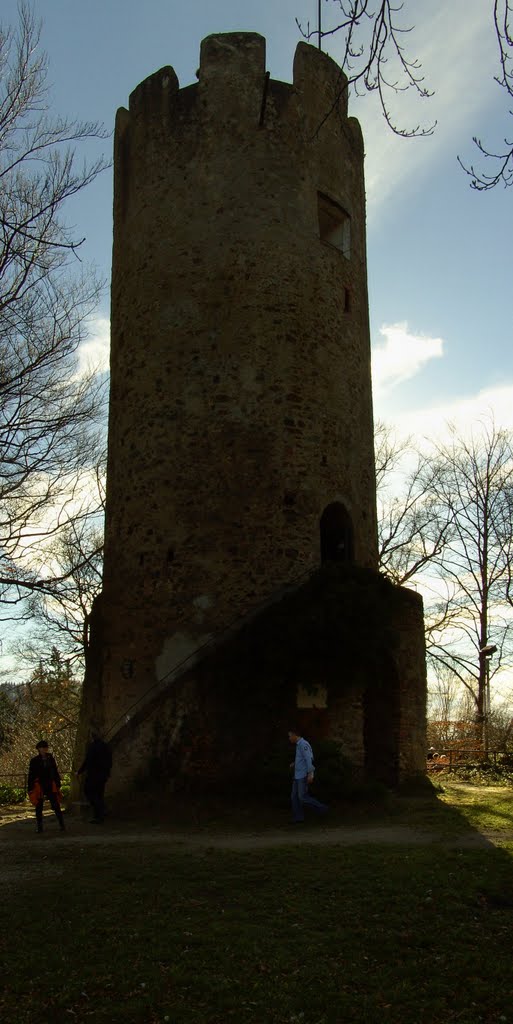 Turm der Zähringer Burg by oberknecht