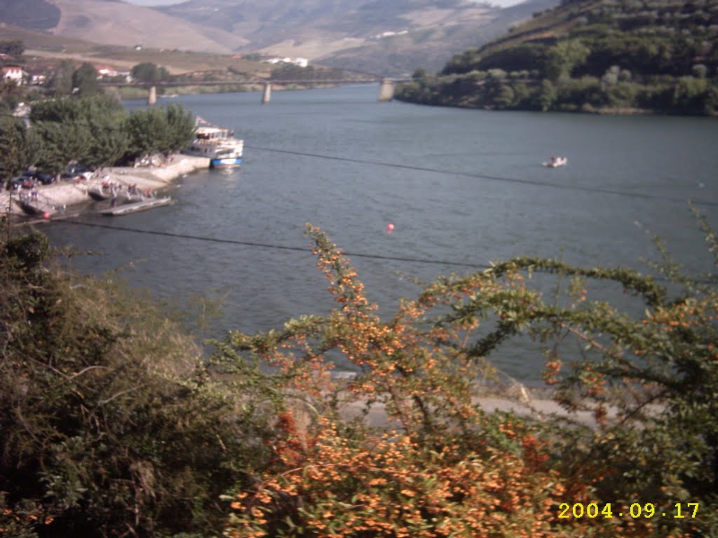 PINHÃO-DOURO by Carlos Alberto Barat…