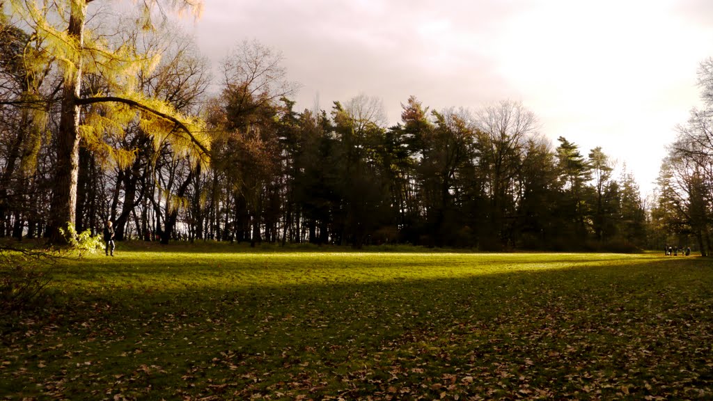 Loučeň - zámecký park by moudrasek