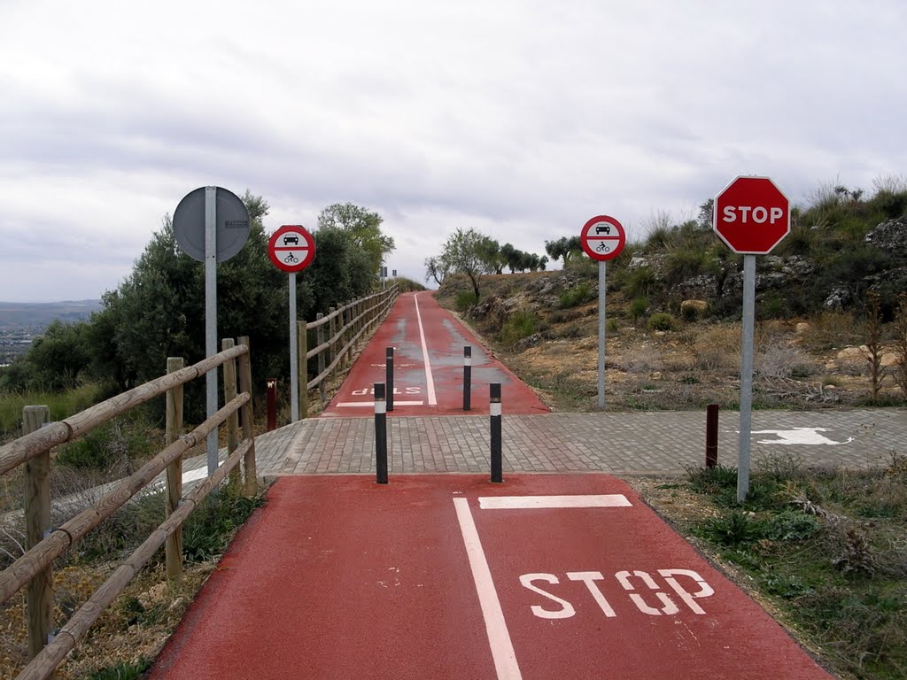 2010-11-14 Cruce absurdo del carril bici con un 'carril vaca' by Axel Schlaefer