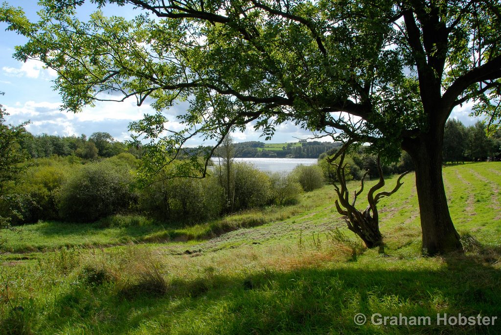 Tittesworth Reservoir - near Leek by Graham Hobster