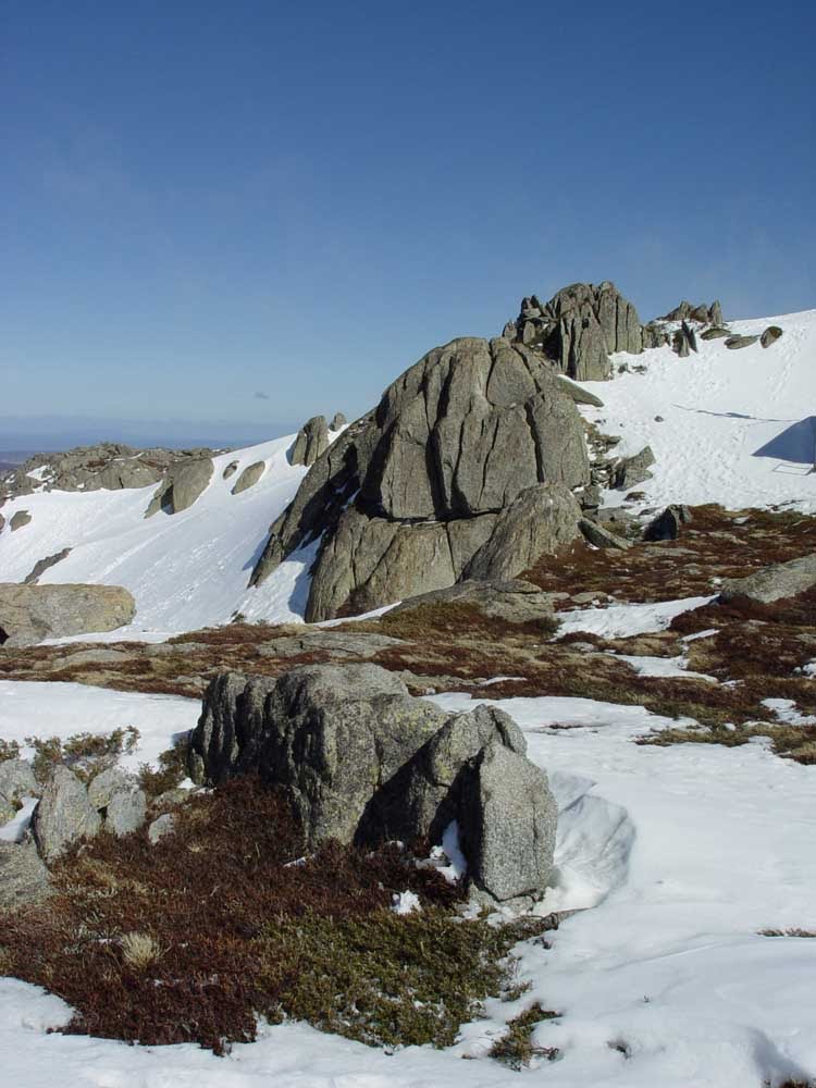 Back Perisher Mt. by alvaro espinel