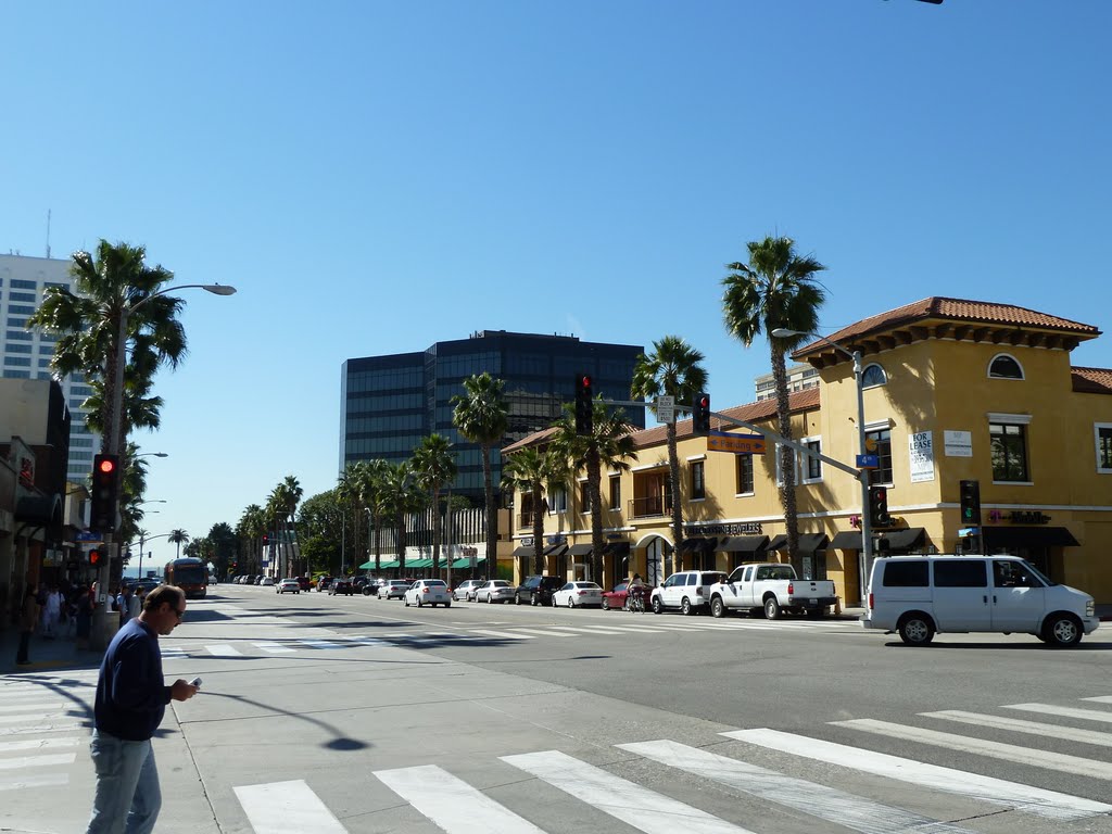 View of Wilshire Blvd. in Santa Monica by Alan Fogelquist