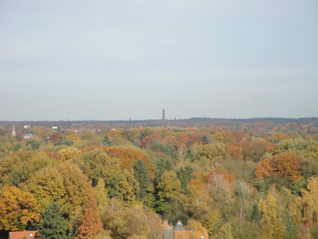 Bomen in herfstkleur, ENKA-schoorsteen op de achtergrond by matthijsvb90