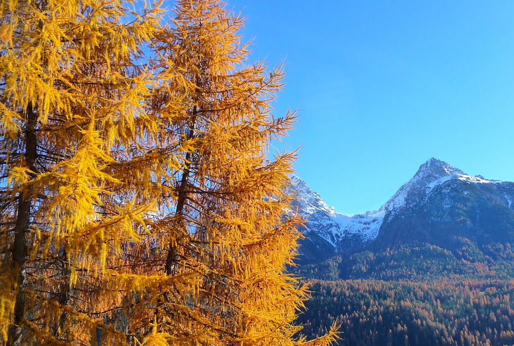 Herbstbäume by tobiwan