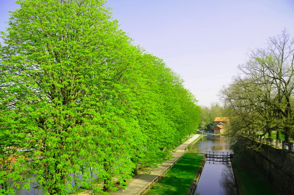 Canal et écluse en Bras Mort de la Moselle (Metz) by georgedes