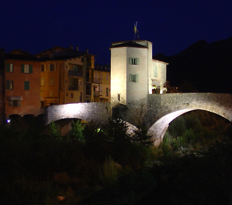 Pont Vieux by Pell