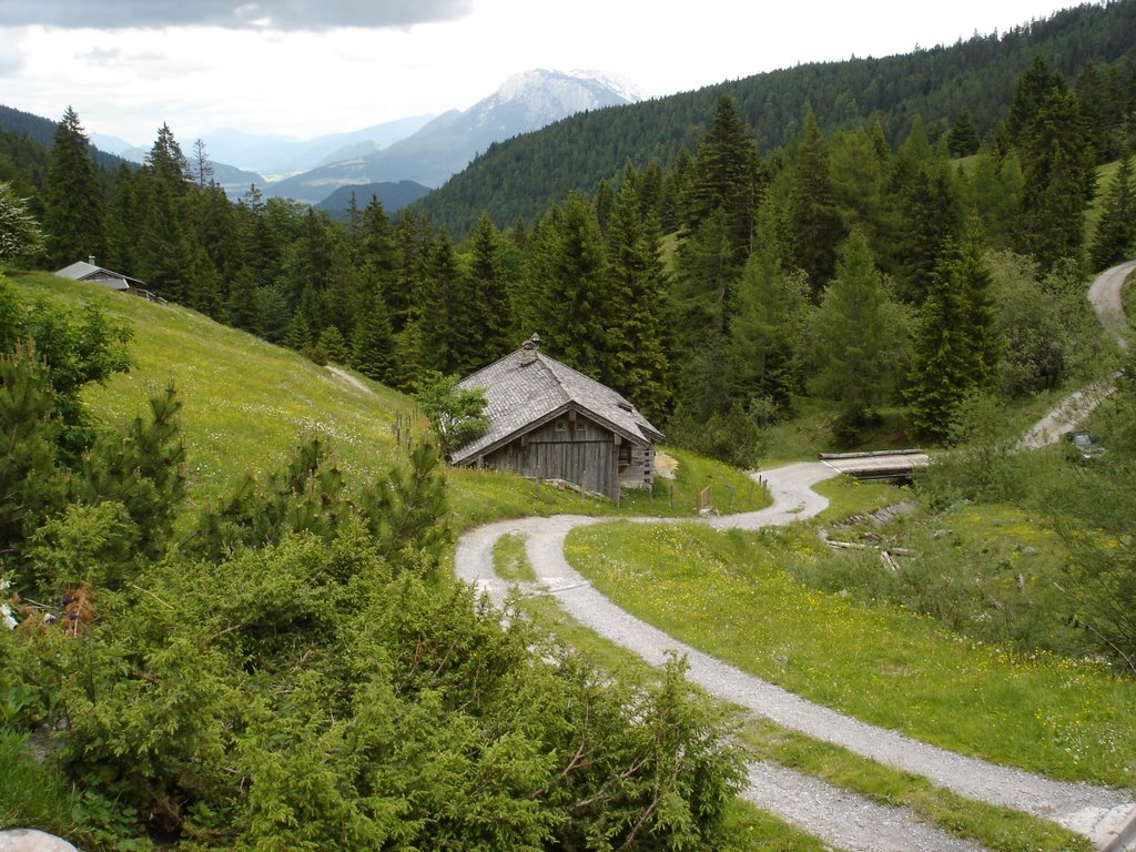 Oberaudorfer Alm by albatros_43