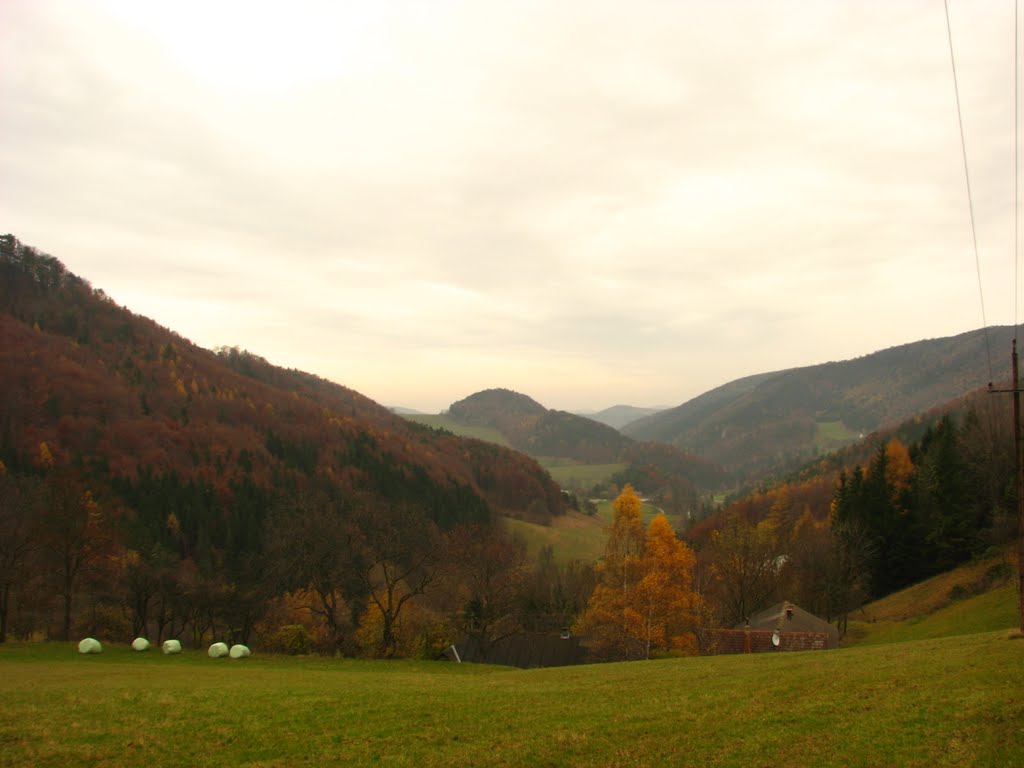 Gemeinde Gutenstein, Austria by Vogel Gábor