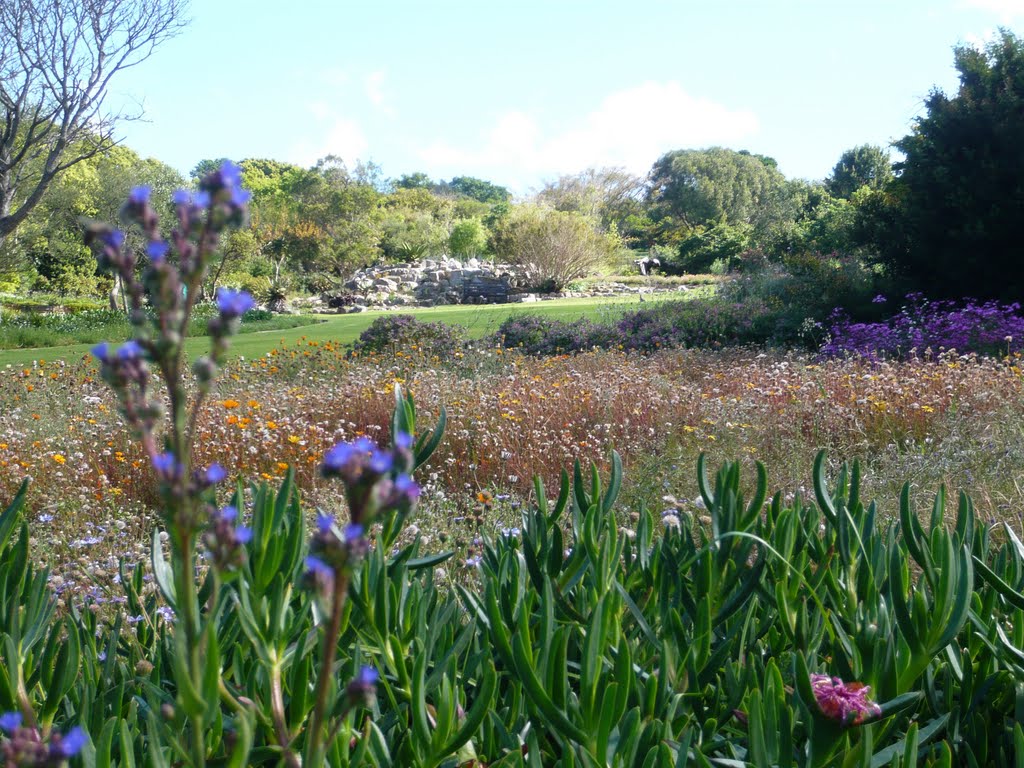 Parc Botanique - Cape Town by Jicé Remue