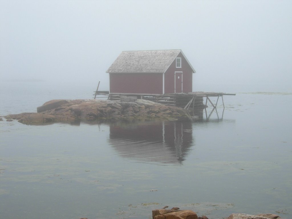 Foggy view from Joe Batt's Arm by ianc2