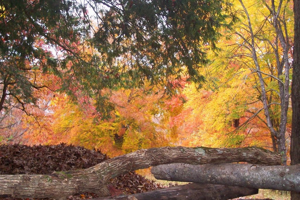 Autumn Fences by Vann Helms