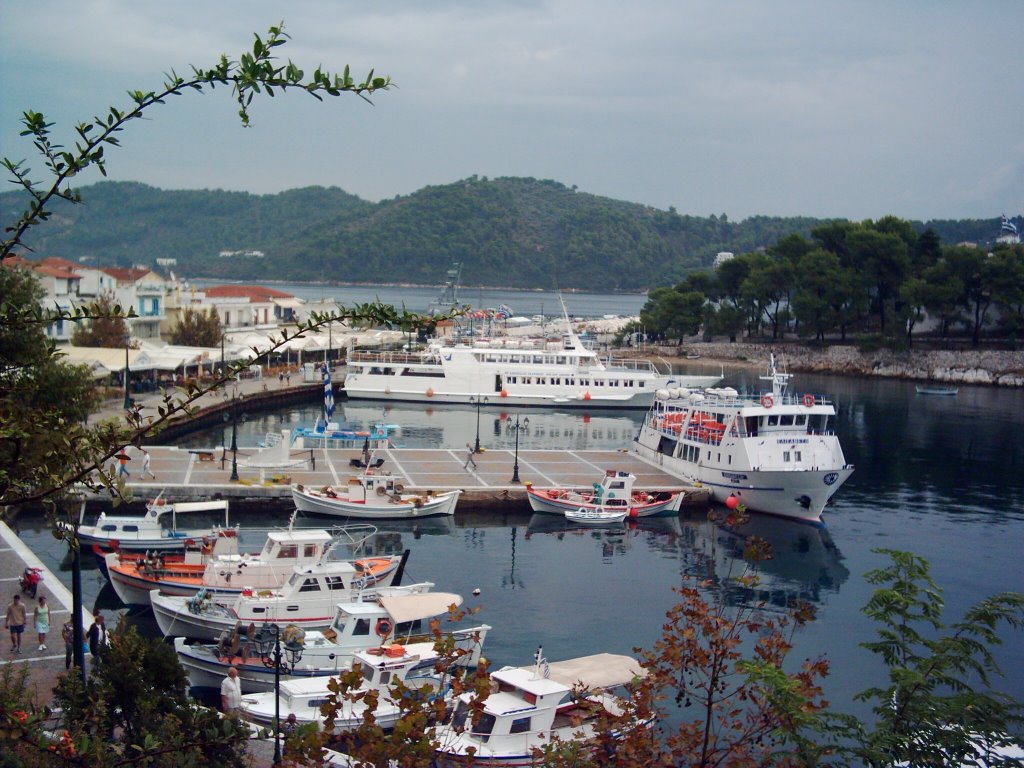 Skiathos Harbour by macdave