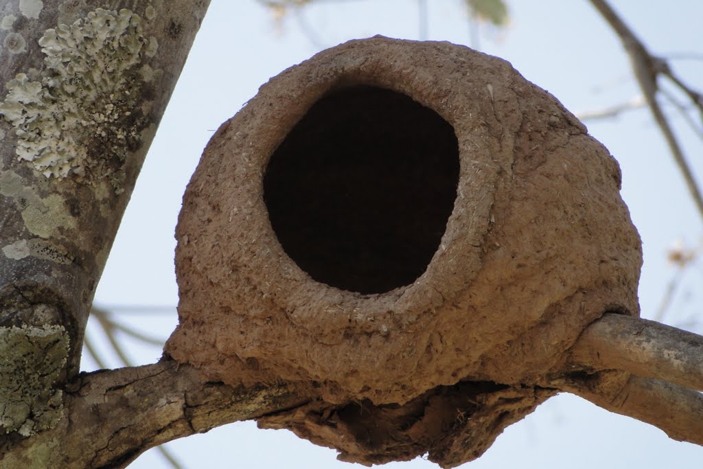 Casinha de joão barro no Hot Park - Rio Quente - Goiás - Brasil by Paulo Yuji Takarada