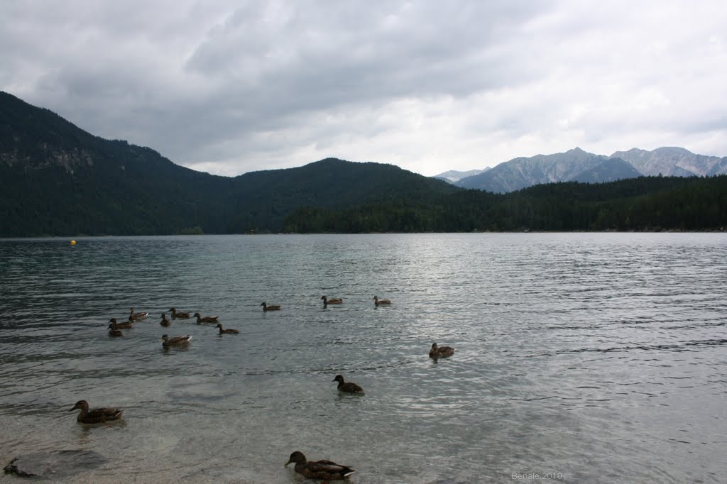 Eibsee Grainau by Alessandro Benocci