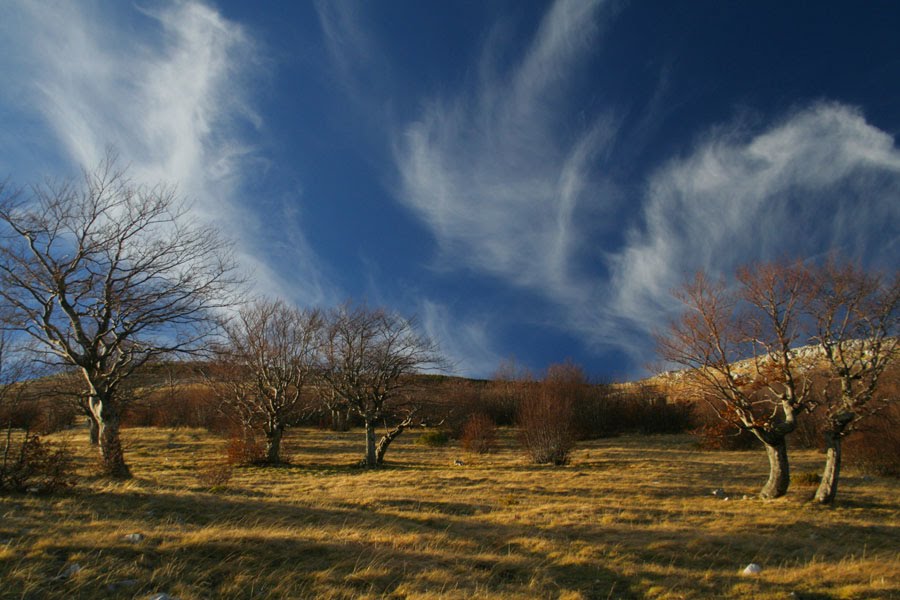 Bjelašnica by Ismet Smajiš